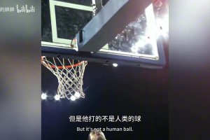 杨毅：库里打球不是人类，打法无人能学，若换作他人必遭教练责罚